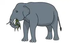 animals-name-elephant