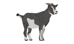 animals-name-goat