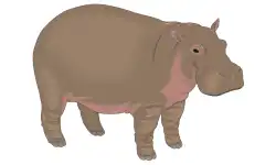 animals-name-hippopotamus
