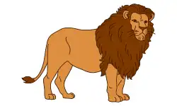 animals-name-lion