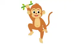 animals-name-monkey