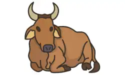 animals-name-ox