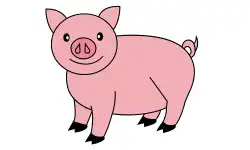 animals-name-pig