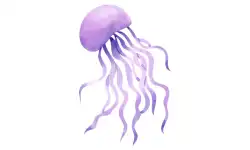 aquatic-animals-name-jellyfish