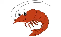 aquatic-animals-name-shrimp