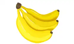 fruit-name-banana