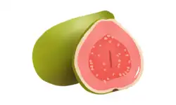 fruit-name-guava
