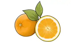fruit-name-orange