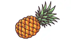 fruit-name-pineapple