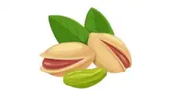 fruit-name-pistachio