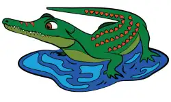 reptiles-name-alligator