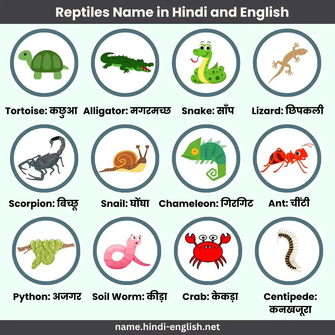reptiles name in hindi and english with pictures