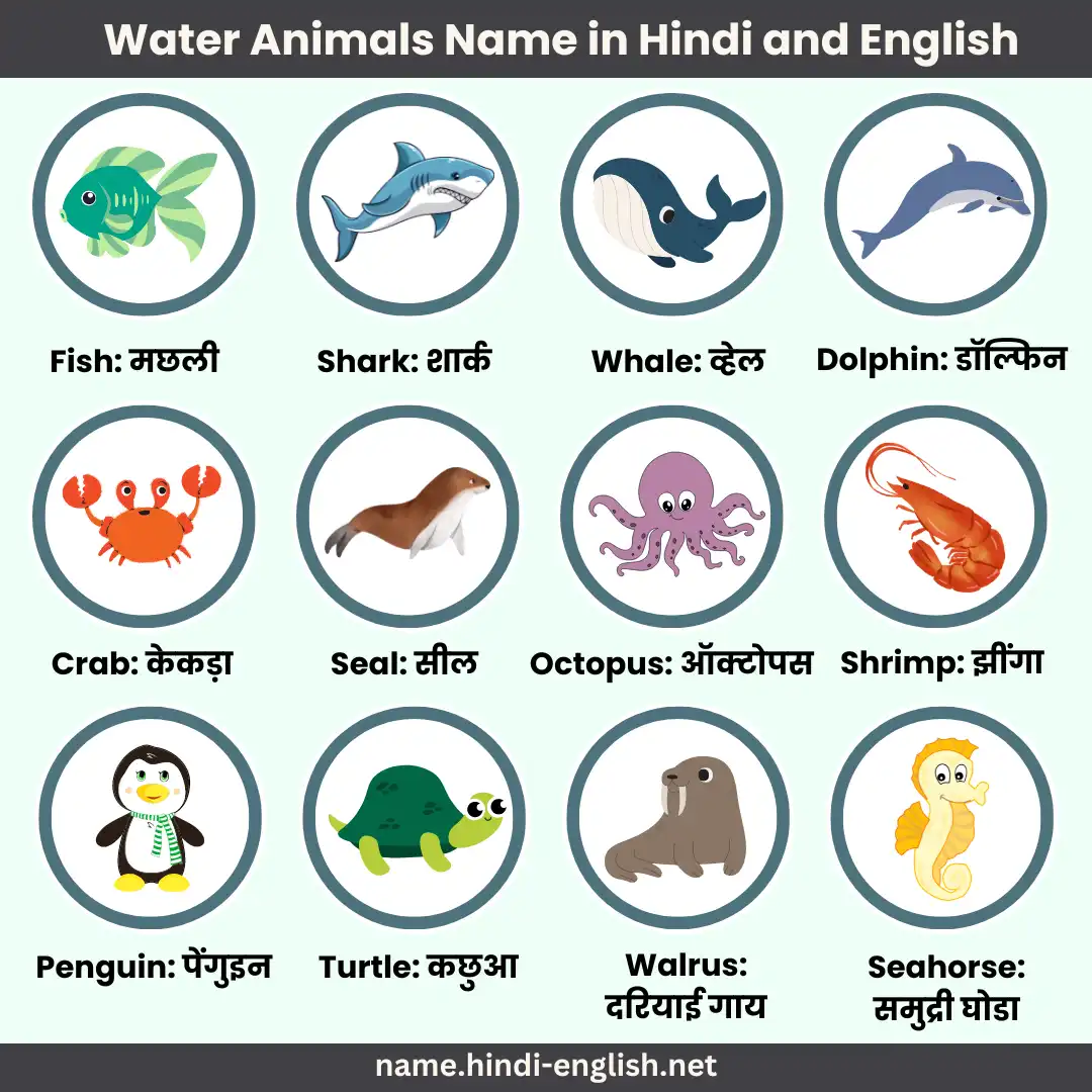 water animals name in hindi and english with pictures