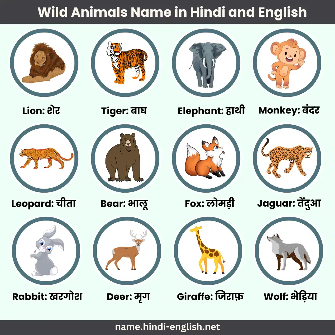 wild animals name in hindi and english with pictures
